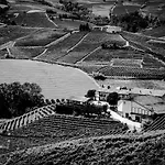 Casa de Campo Cascina Sciulun Monforte dʼAlba