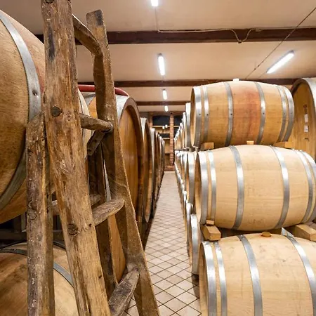 Cascina Sciulun