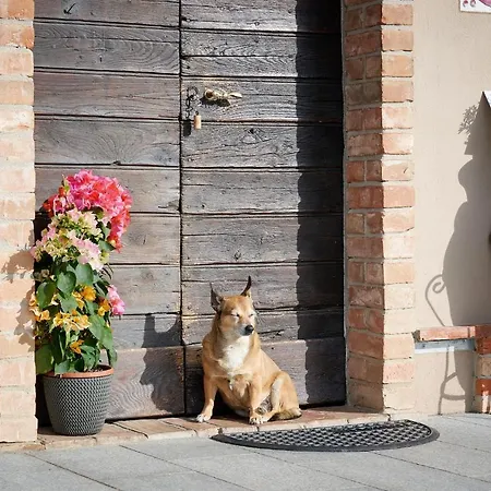 Cascina Sciulun Landhaus