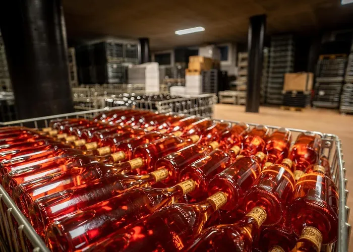 Cascina Sciulun * Monforte dʼAlba