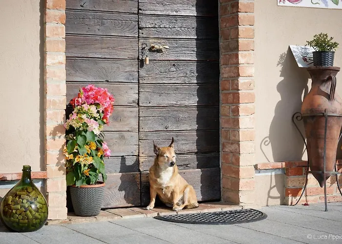 Cascina Sciulun Venkovský dům
