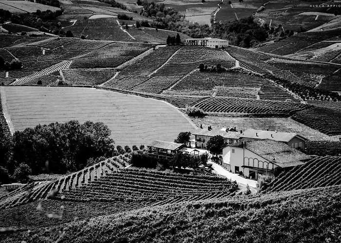 Venkovský dům Cascina Sciulun Monforte dʼAlba